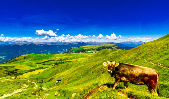 Südtirol schönste Wanderungen