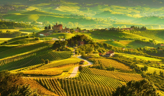 Beste Weinanbaugebiete Toskana